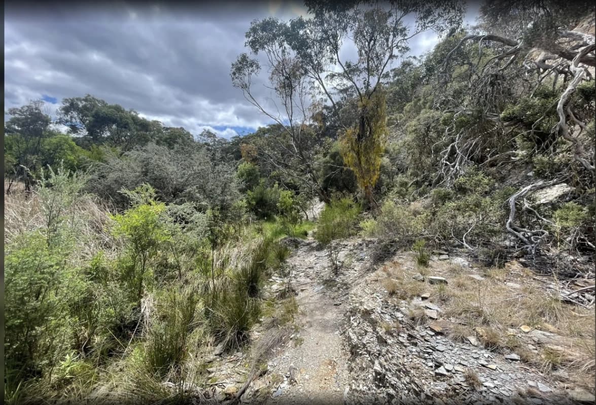 Long Forest Nature Reserve Loop