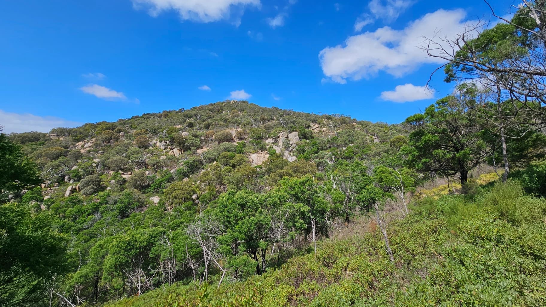 Flinders, West, Northern