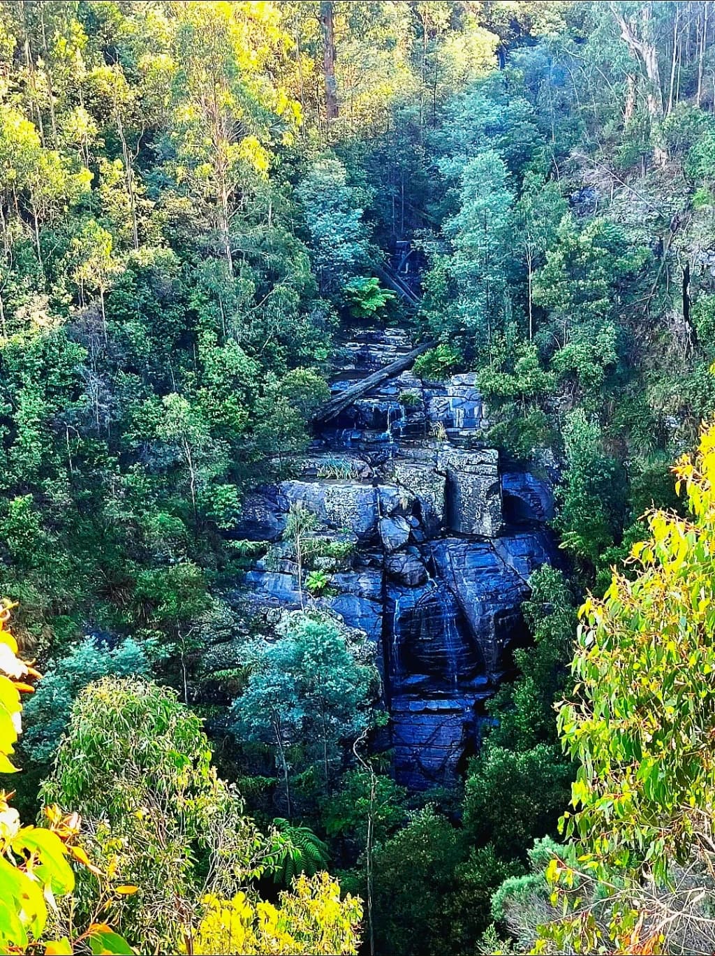 Masons Falls & Mount Sugarloaf Circuit