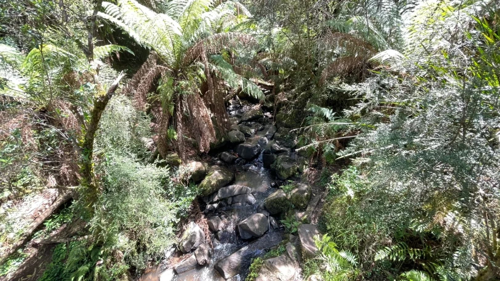 Sherbrook Fall and Alfred Nicholas Gardens Loop