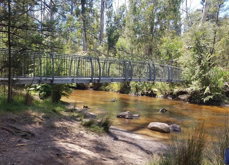 Murrindindi Scenic Reserve (& Upper Wilhelmina Falls)