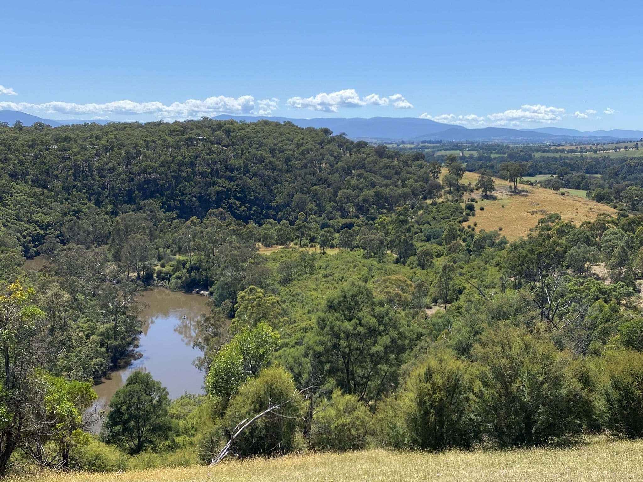Australia Day walk